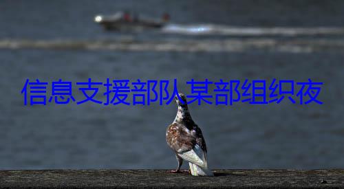 信息支援部夜间修理训队某部组织练图